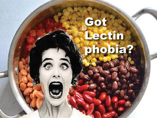 No need to fear lectin