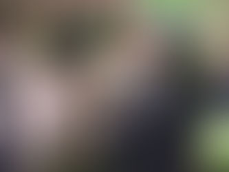 ideias diferentes para o natal em família (além de comer peru e discutir política)