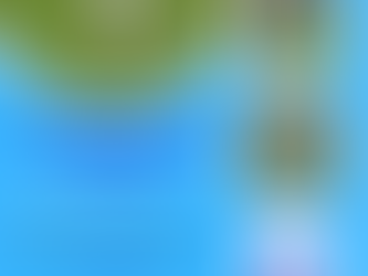 Junior Preseason Training and Open Day