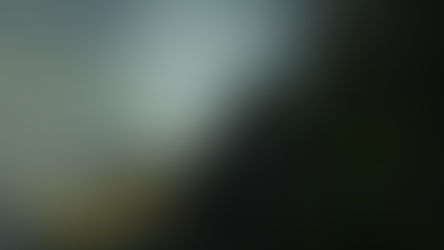 Welcome to sunyabuddhi