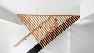 Crawlspace Renovation