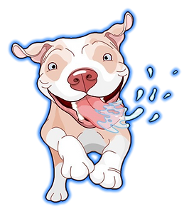 Basic & Advanced Bully Pitbull Puppy Training by Elite Bully Nation Pitbull Kennels