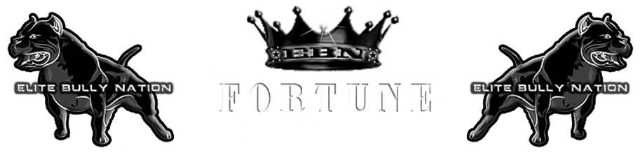 Elite Bully Nation Pitbull Kennels - Upgrade to BULLY the ELITE way! Fortune Favors The Bold