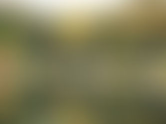 Hverfulleiki haustlitanna