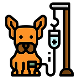 veterinario (1).png