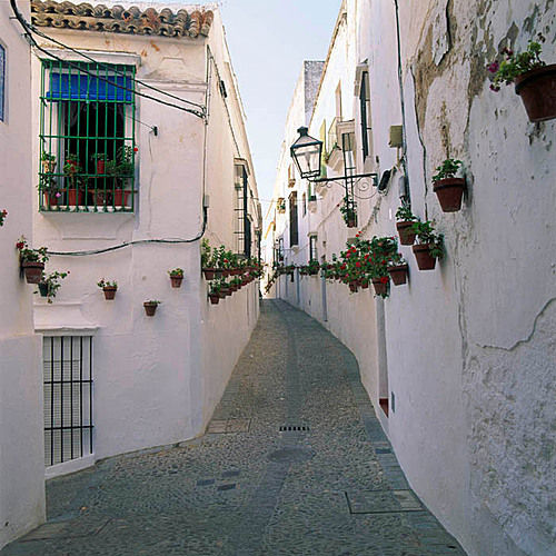 Miniatura: Rutas y visitas guiadas en el Pueblo