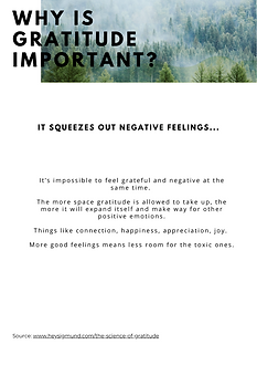 Gratitude Journal (3).png
