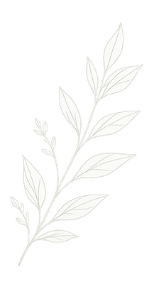 large leaf _edited.png