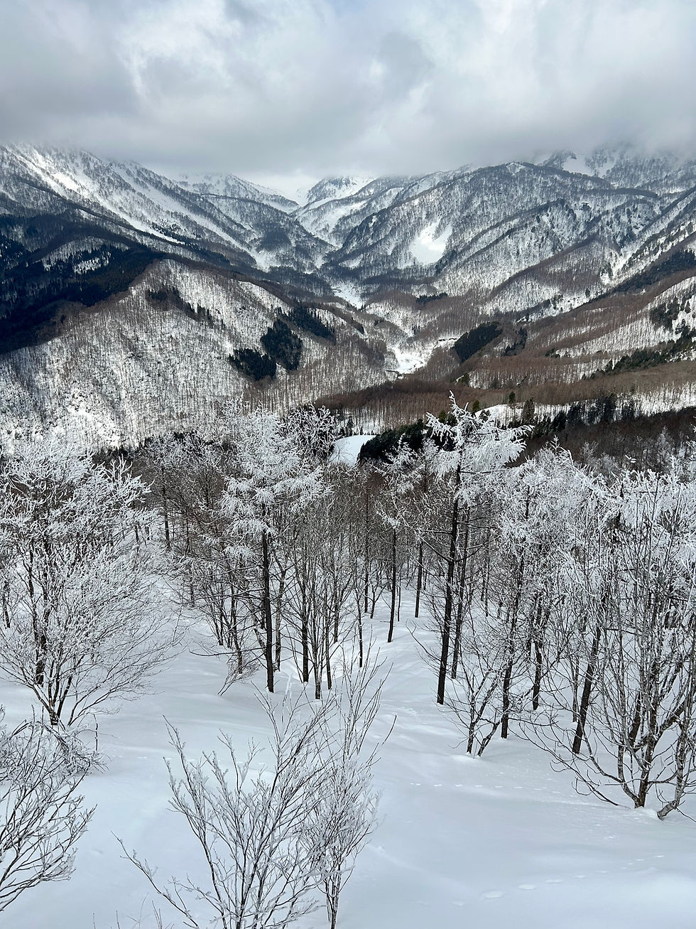kontexto_japan_winter