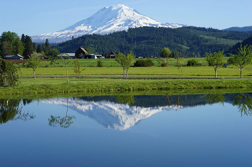 Mt Adams from TL Abbey.jpeg