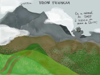 Pichincha improvisé, dodo retrouvé!