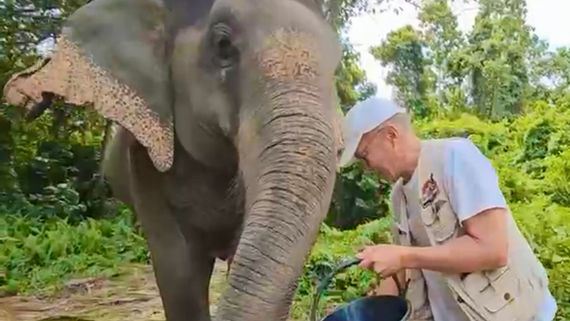 Elephant Sanctuary Koh Samui