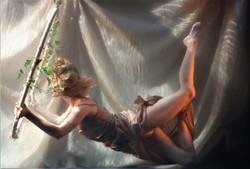 PHOTOGRAPHY BY DAVID SHARD