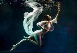 PHOTOGRAPHY BY STEVE DELANEY
