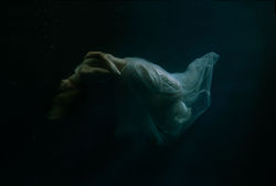PHOTOGRAPHY BY LEIGH FITZPATRICK
