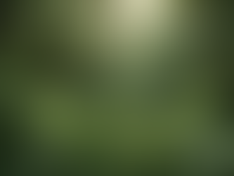 Advocating for Healthier Environments: BioSymphony Research