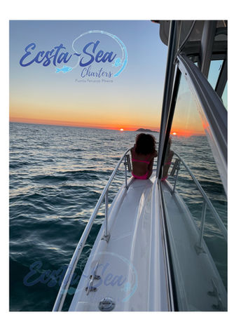 Sunset cruise sea of cortez