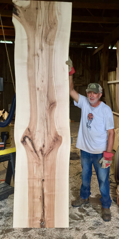 giant wood slab recently milled