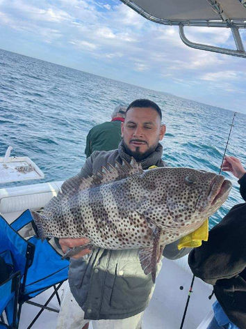leopard grouper