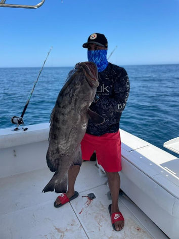 large grouper fish