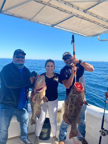 Groupers