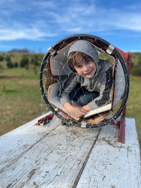 son playing in Christmas tree netting