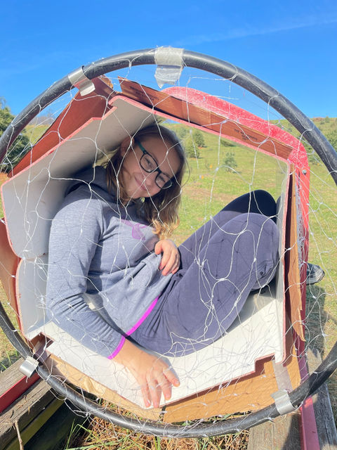 daughter playing in Christmas tree netting