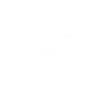 Contenido de Marketing