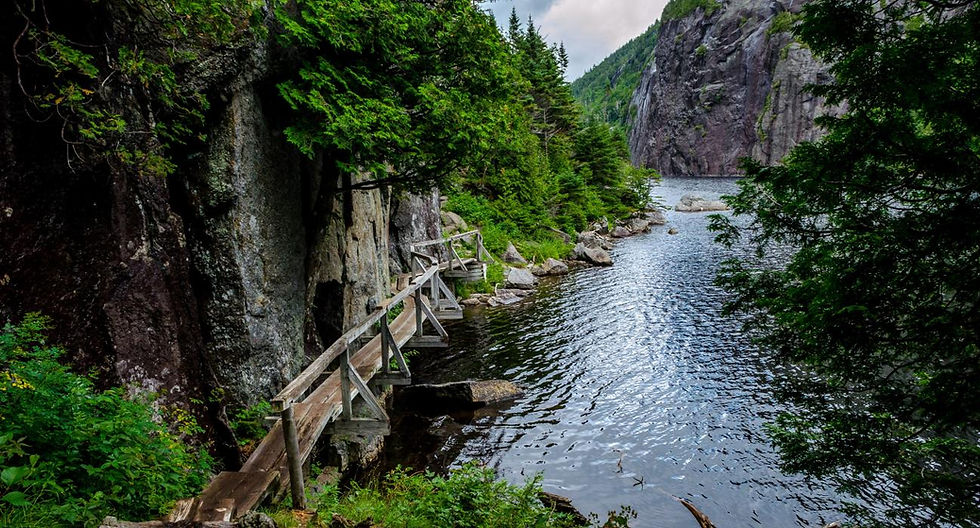 adirondacks avalanche lake trail.jpg