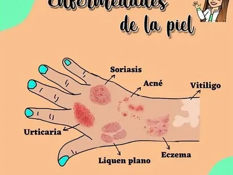 Enfermedades de la piel y los mejores ingredientes para combatirlas
