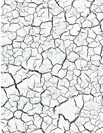Sin-título-1.jpg