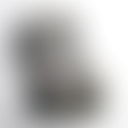 美術館収蔵/サクラアートミュージアム