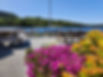 20230601_130043.jpg