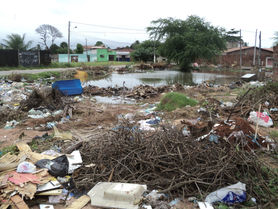 Lixo em terreno baldio causa problemas a moradores
