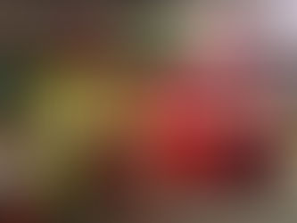 Onde jogo fora meu aparelho quebrado?