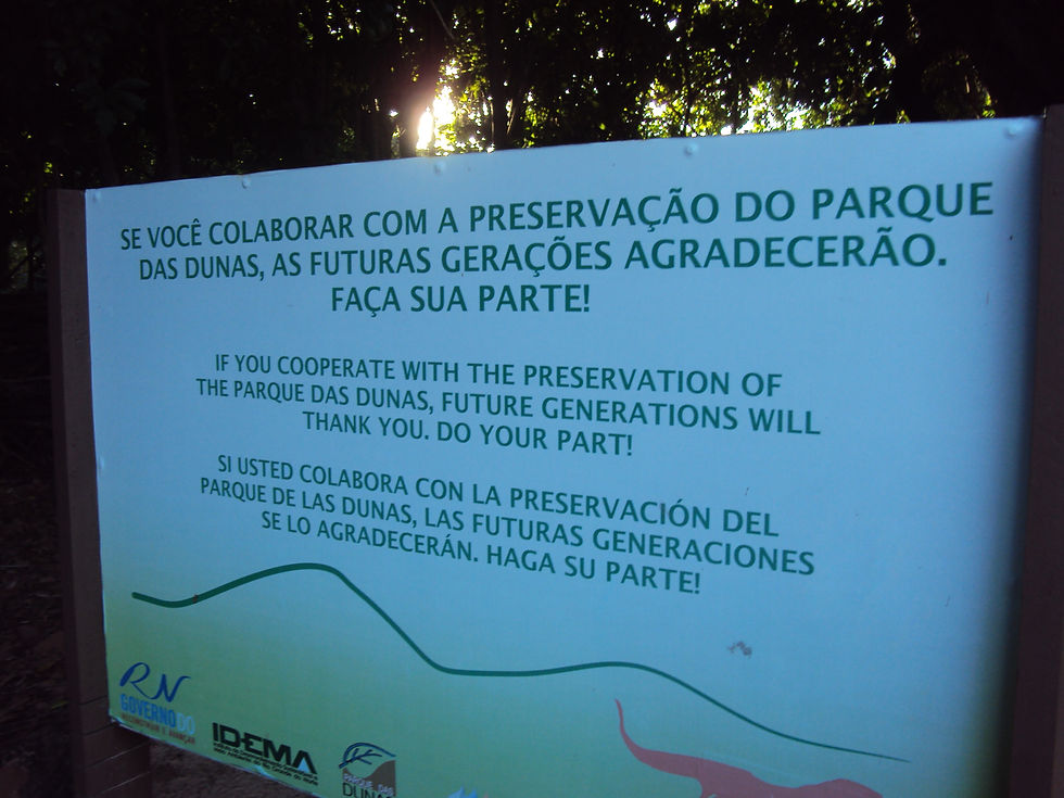 DSC01590.JPG