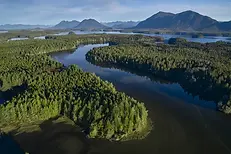 nationalgeographic2799224_0.webp