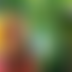 Povos indígenas do Brasil