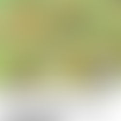 Sociedades Indígenas Brasileiras no Século XVI