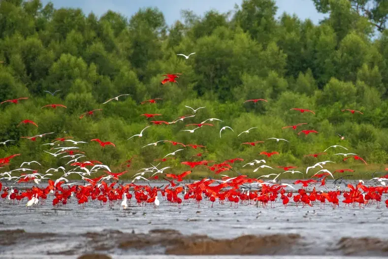 09-especial-amazonia-reportagem-igapo-.webp