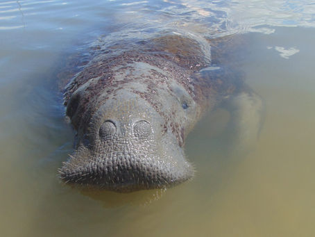 Sergipe participará de ações pelo Dia da Limpeza de Rios e Praias