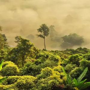 Biodiversidade Terrestre
