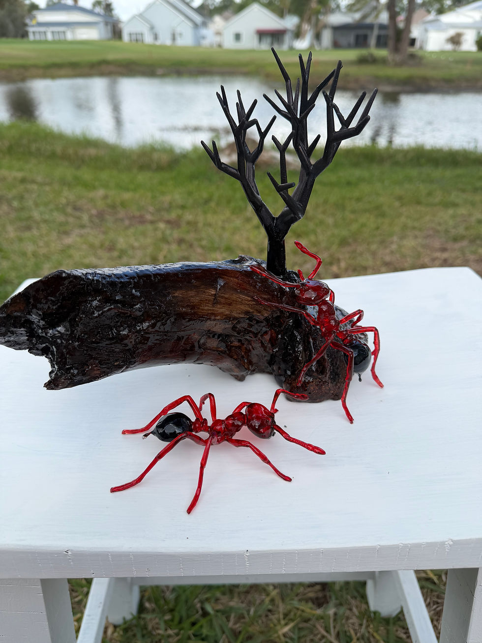 Thumbnail: Fire Ant Dead Tree Display