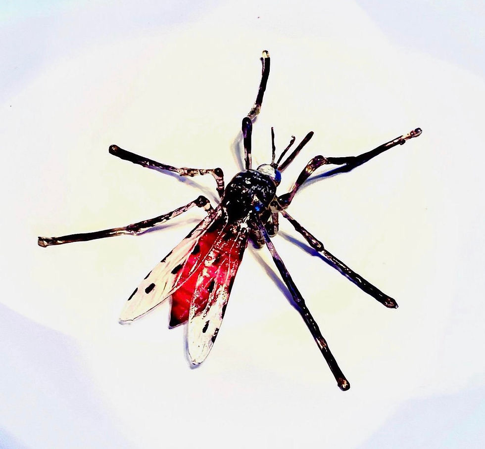 Thumbnail: Anopheles Mosquito 