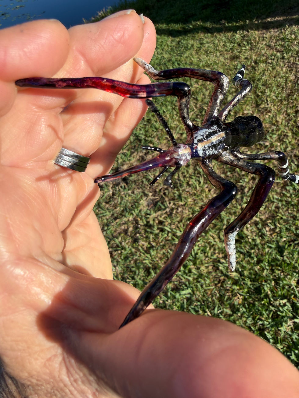 Thumbnail: Gall Nipper Mosquito