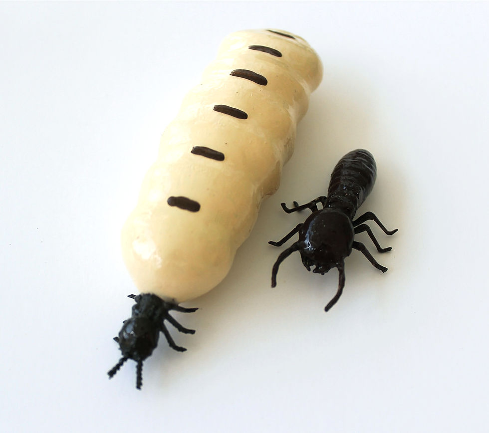 Thumbnail: Termite King & Queen Replica