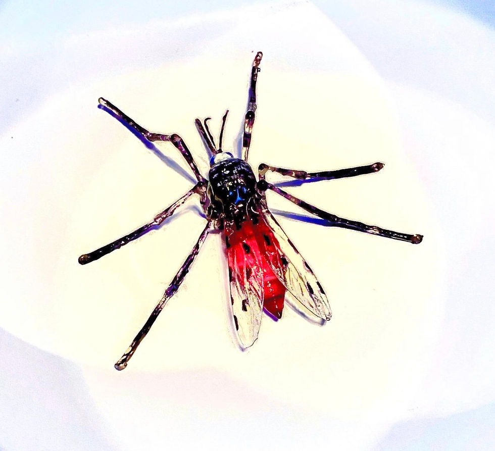 Thumbnail: Anopheles Mosquito 