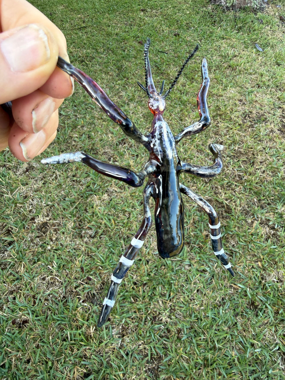 Thumbnail: Gall Nipper Mosquito