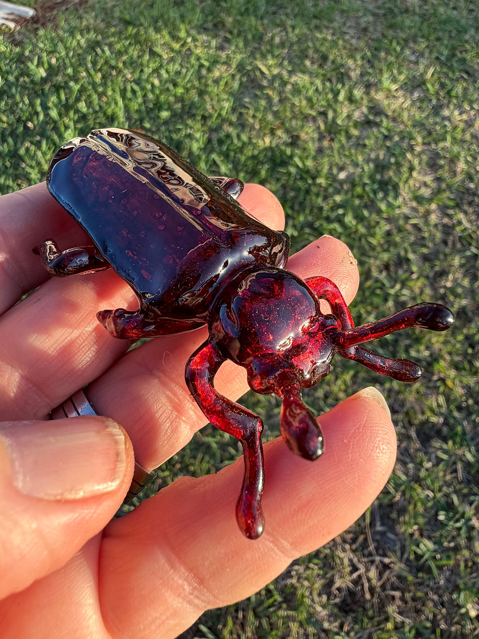 Thumbnail: Powder Post Termite