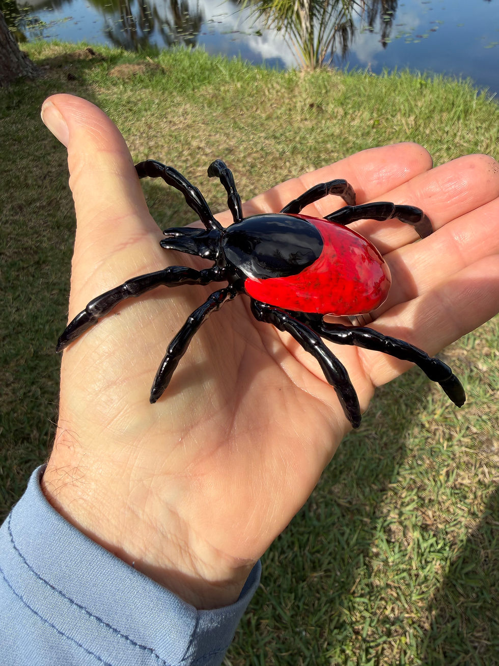 Thumbnail: Black Legged Tick